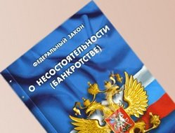 В законодательство Российской Федерации введен институт банкротства физических лиц